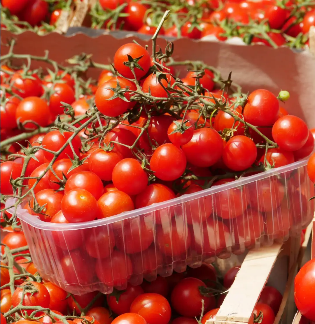Punnets for Fruits and Vegetables